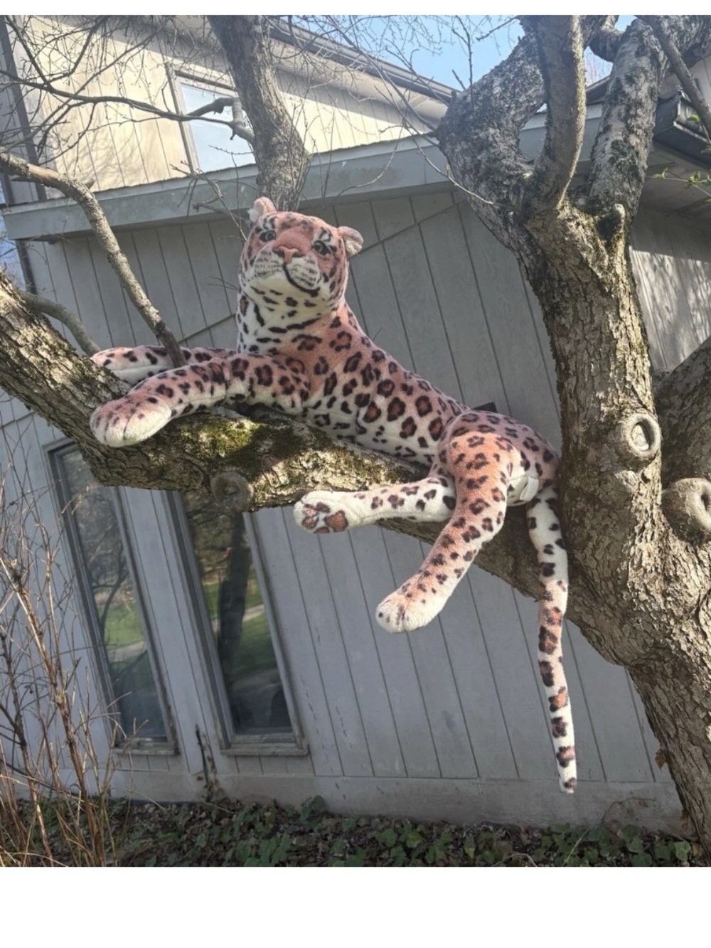 Vintage Huge Kellytoy Cheetah Leopard Wildcat Plush laying down Over 5’ W/ Tail